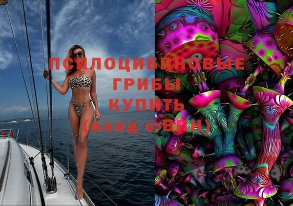 ПСИЛОЦИБИНОВЫЕ ГРИБЫ Балахна
